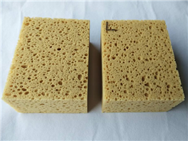 Sponge